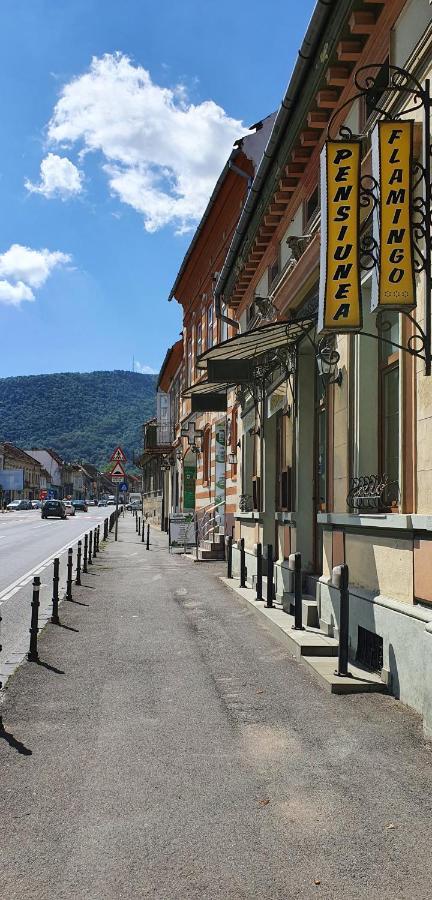 Flamingo 3* Brasov