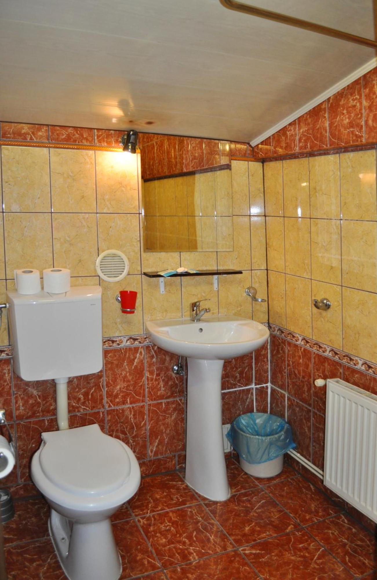 Flamingo Guest house Brasov