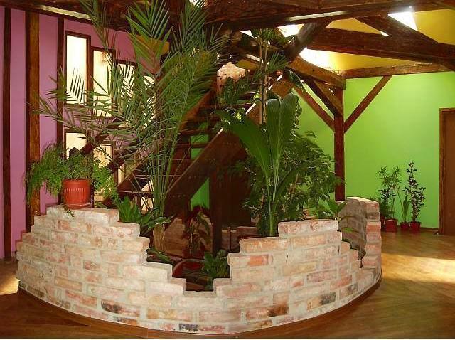 Flamingo Guest house Brasov